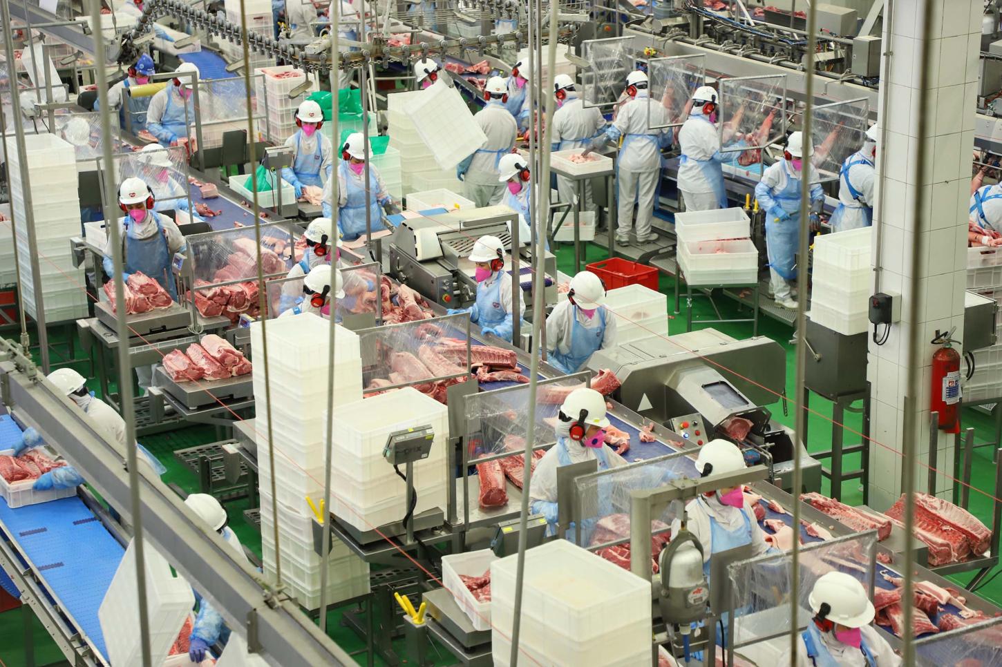 18 mil toneladas: Paraná bateu recorde em exportação de carne suína em setembro