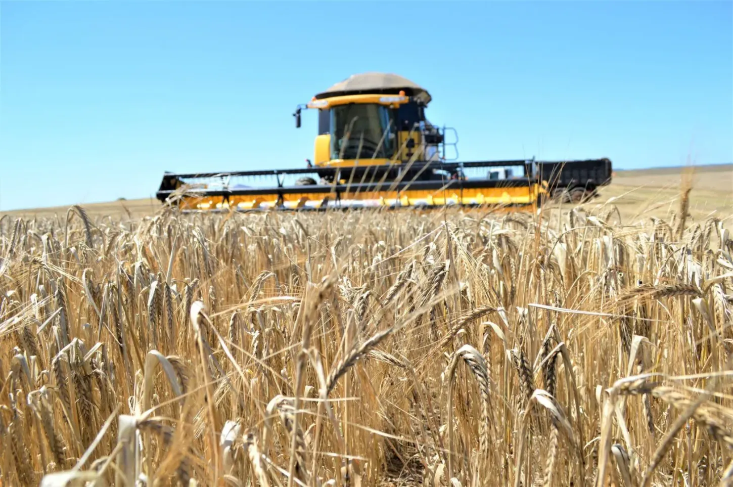 Top 100 do agronegócio: Guarapuava entre os 100 municípios mais ricos do agronegócio