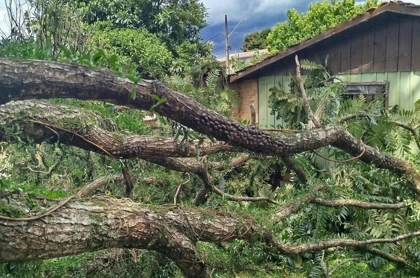 Chuva forte causa estragos em Pitanga na tarde desta terça-feira