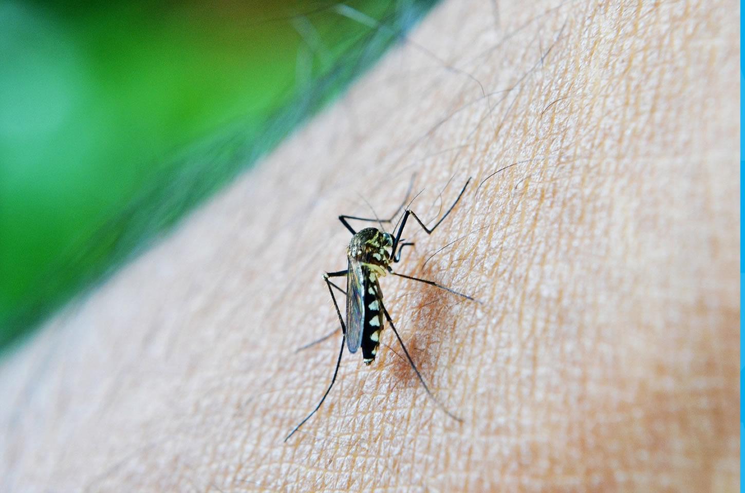 Energisa reforça ações no combate à dengue
