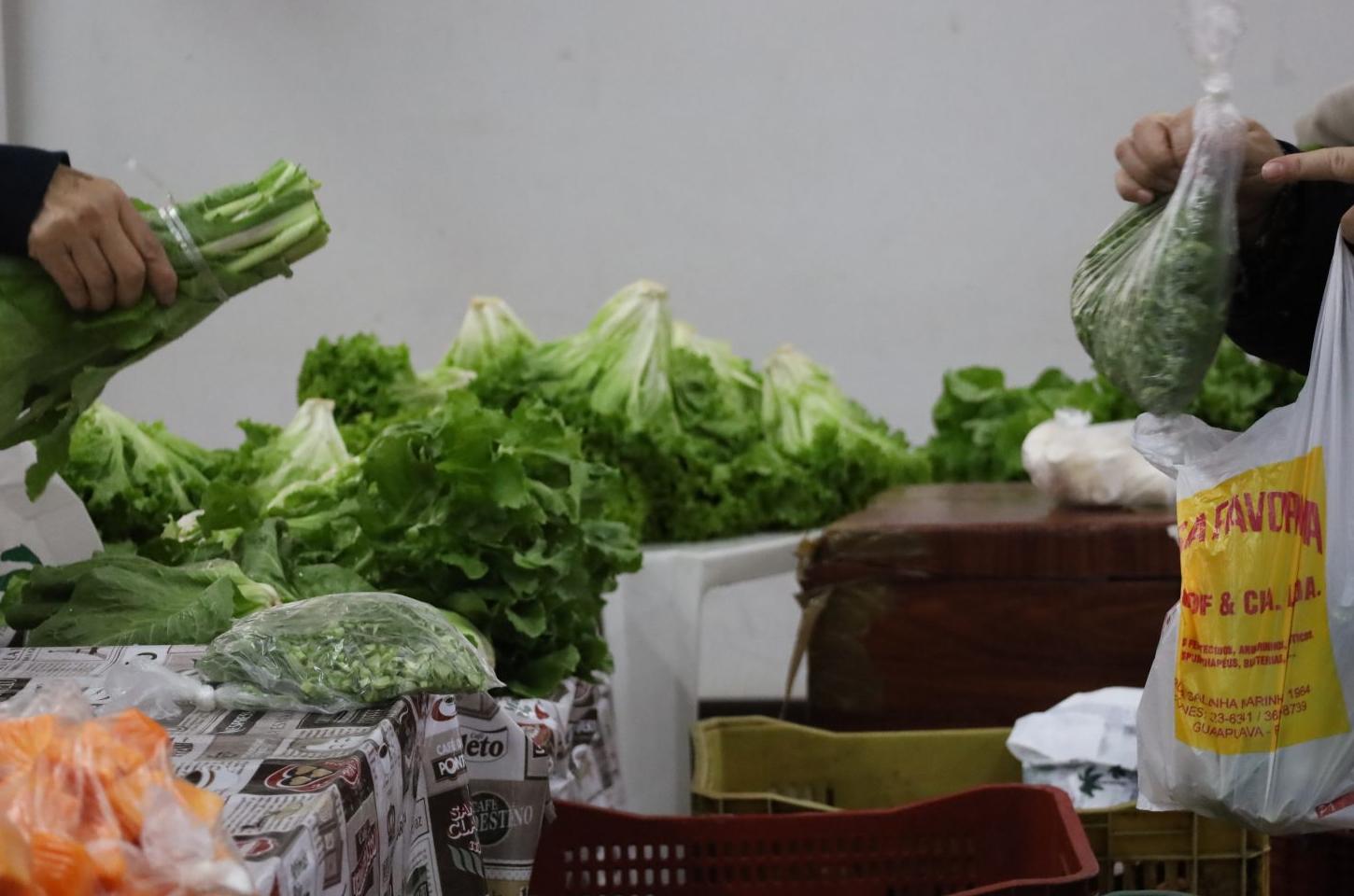 Guarapuava celebra o Dia do Agricultor Familiar, uma homenagem a quem alimenta nossas mesas todos os dias