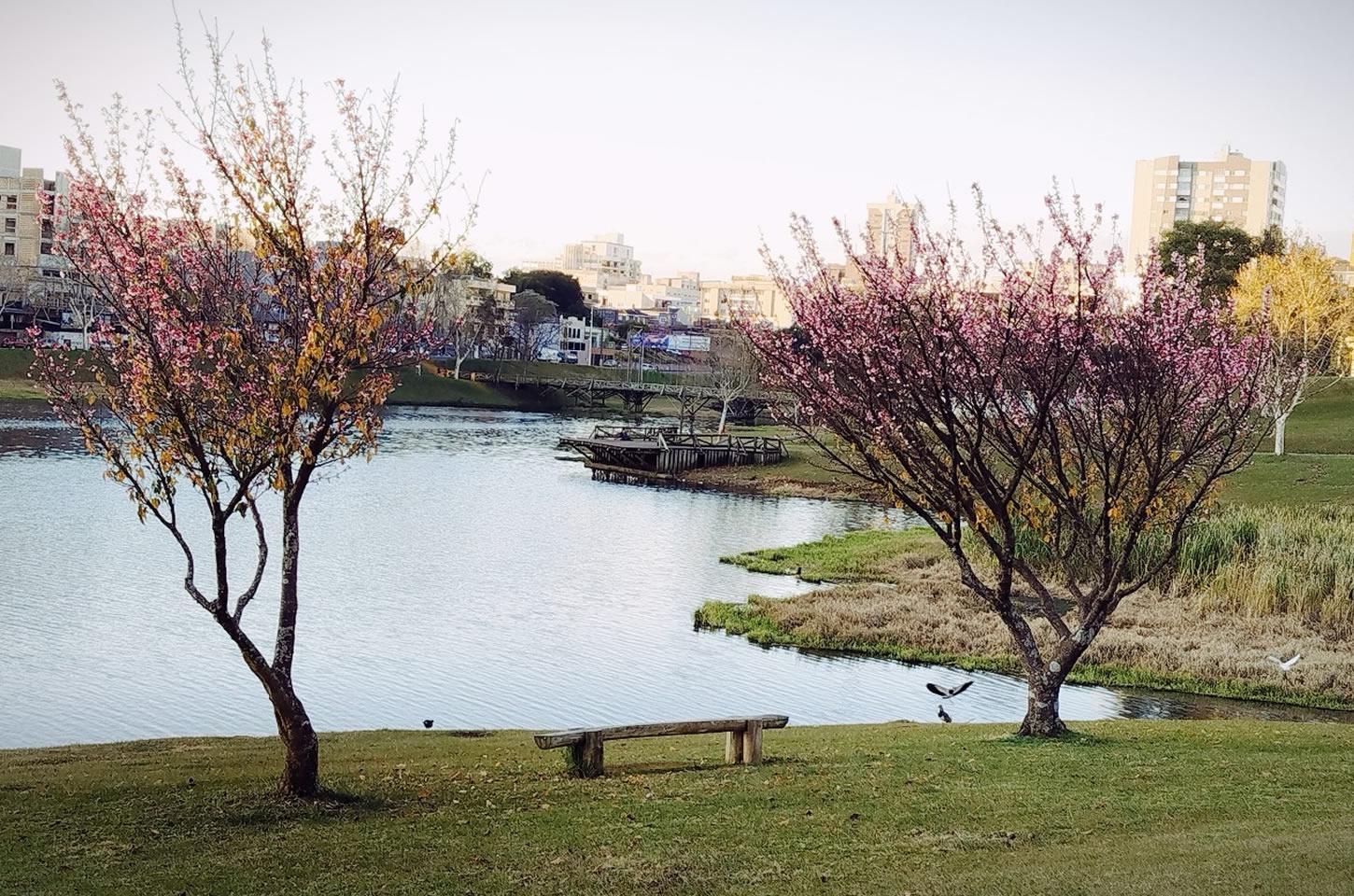 Silêncio antes da cor