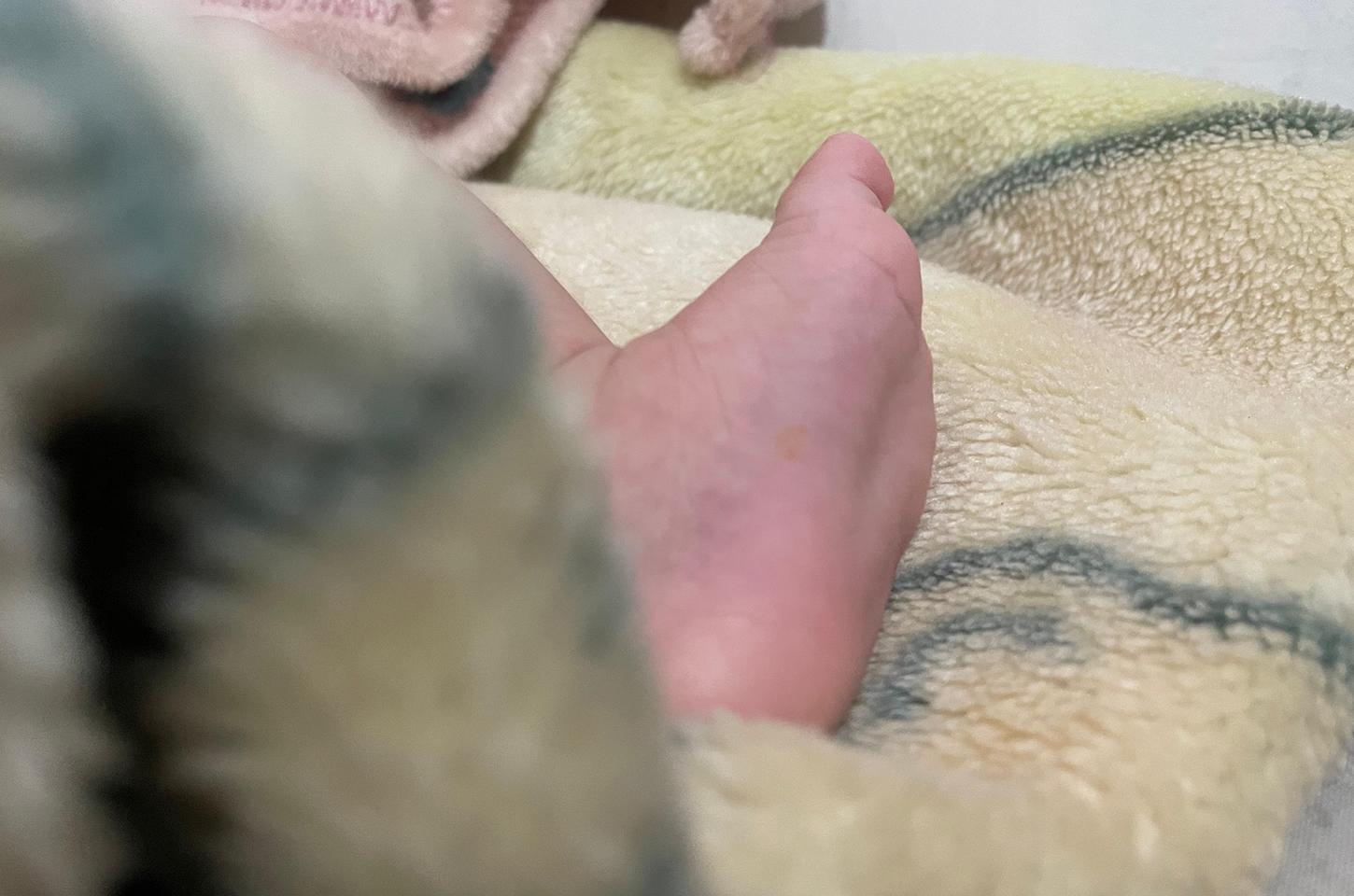 ALTERAR O NOME DO RECÉM-NASCIDO É POSSÍVEL?