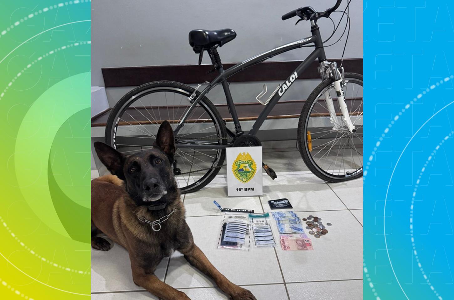 Polícia apreende drogas e materiais suspeitos em residência na Vila Carli