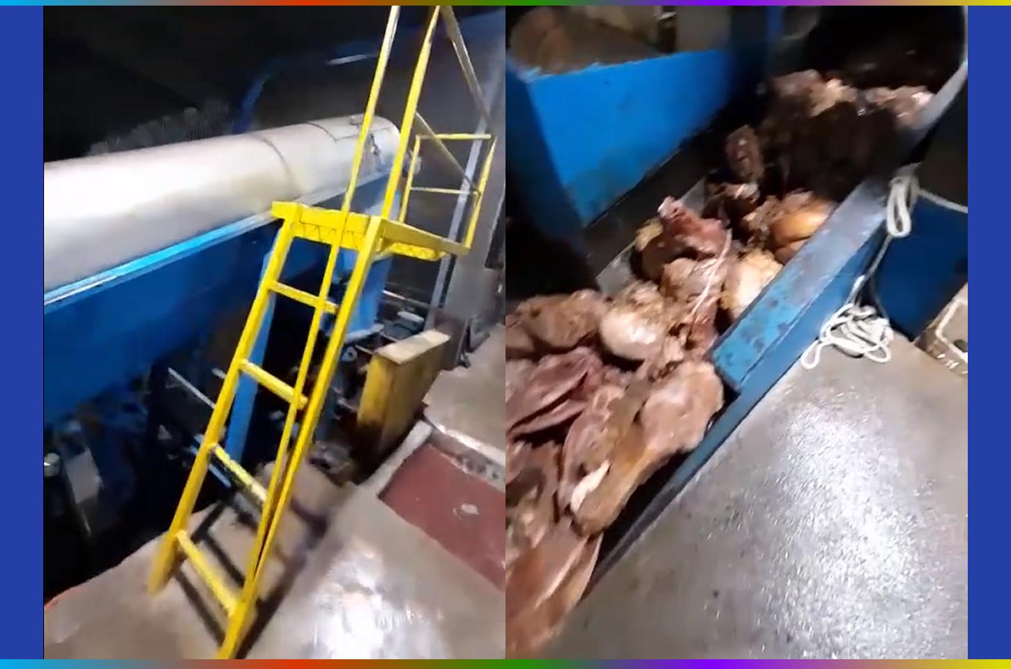 Polícia Civil divulga vídeo do interior de fábrica investigada por poluição do ar em Laranjeiras do Sul