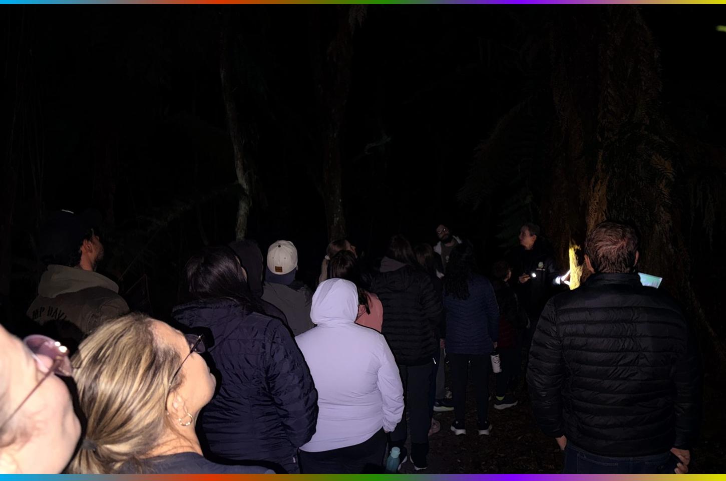 Trilha da Lua Cheia reúne participantes em experiência de conexão com a natureza no Parque das Araucárias