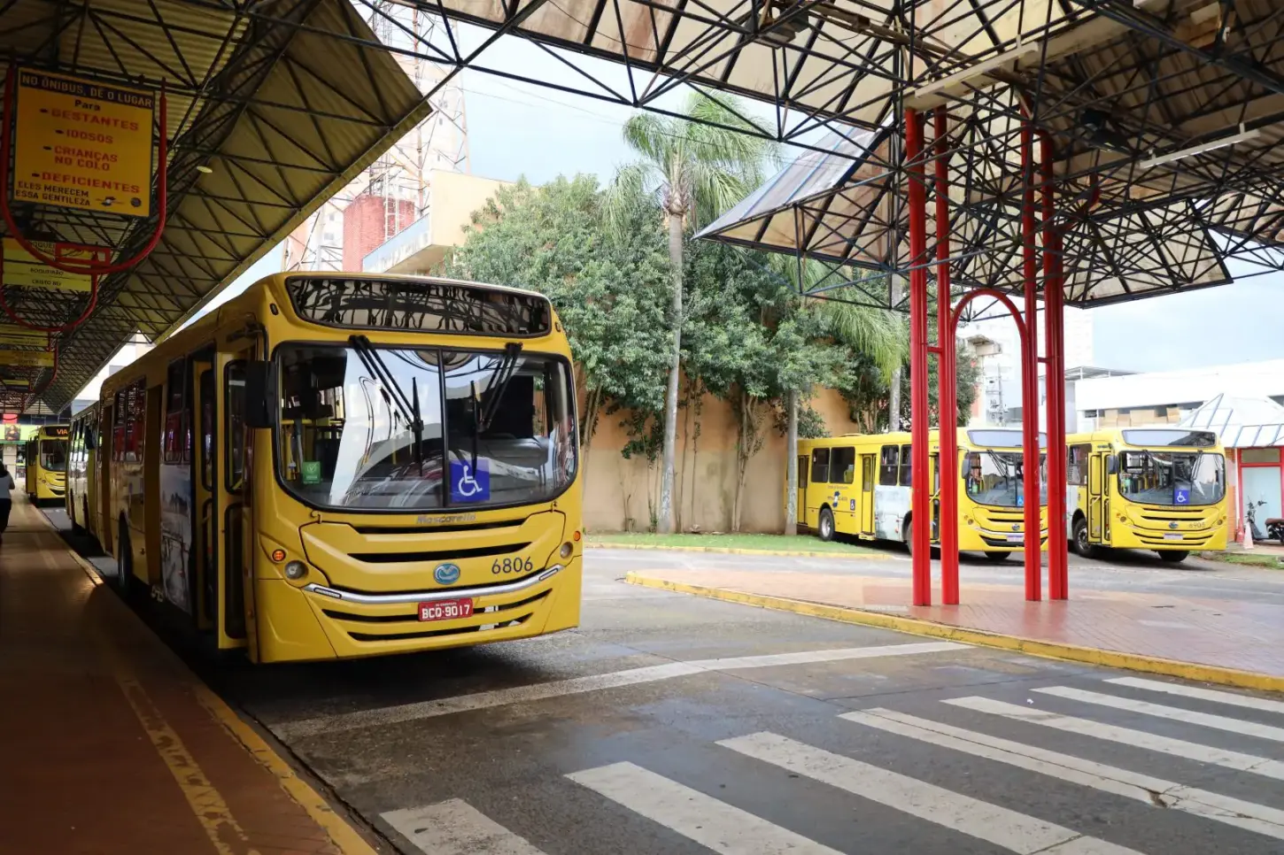 Campanha reforça combate à importunação e ao assédio sexual no transporte coletivo de Guarapuava