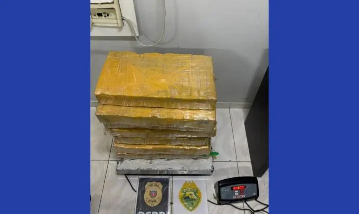 Choque apreende mais de 80 quilos de maconha durante operação em Turvo