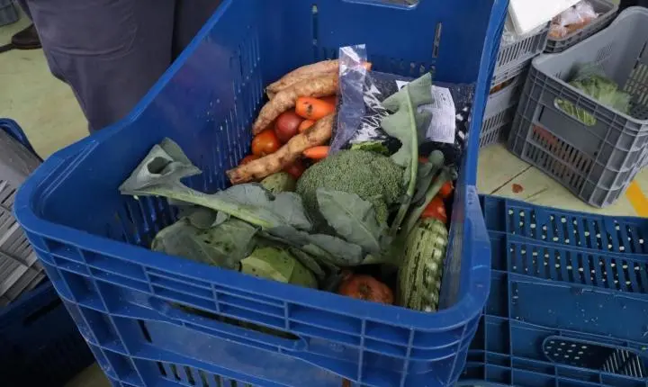 Feira Sustentável garante acesso a alimentos para famílias atendidas pelos CRAS do Jardim das Américas e Residencial 2000