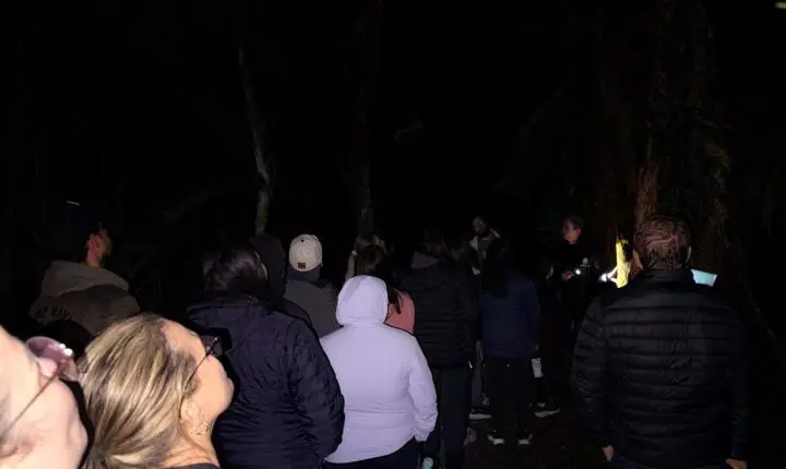 Trilha da Lua Cheia reúne participantes em experiência de conexão com a natureza no Parque das Araucárias